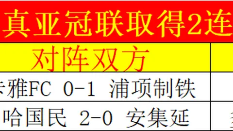 巴洛贡海外拓展计划启动，西汉姆锁定瓦希转会心仪对象！