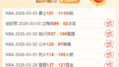 東北大區球隊全解析